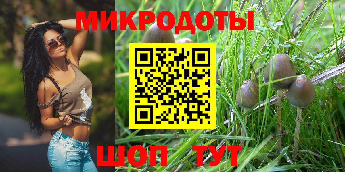 Псилоцибиновые грибы MAGIC MUSHROOMS  Вход с VPN  Псилоцибиновые грибы Cubensis  Казань 