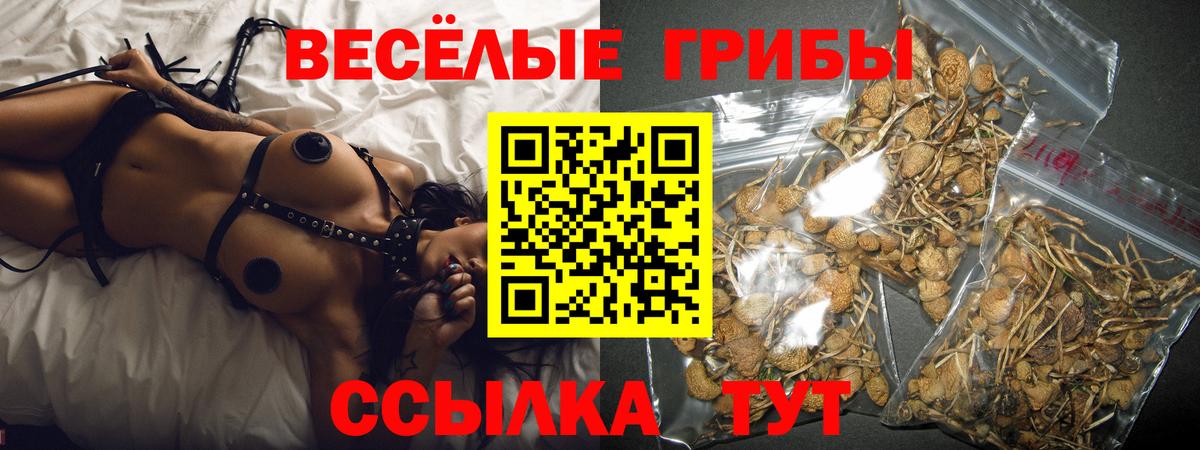 Псилоцибиновые грибы Cubensis Казань